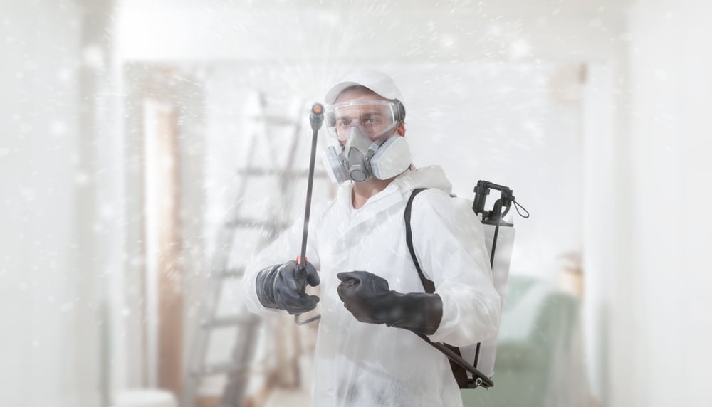 mold remediation