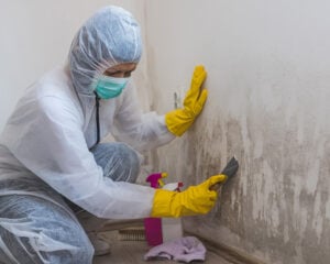 Mold Remediation Expert