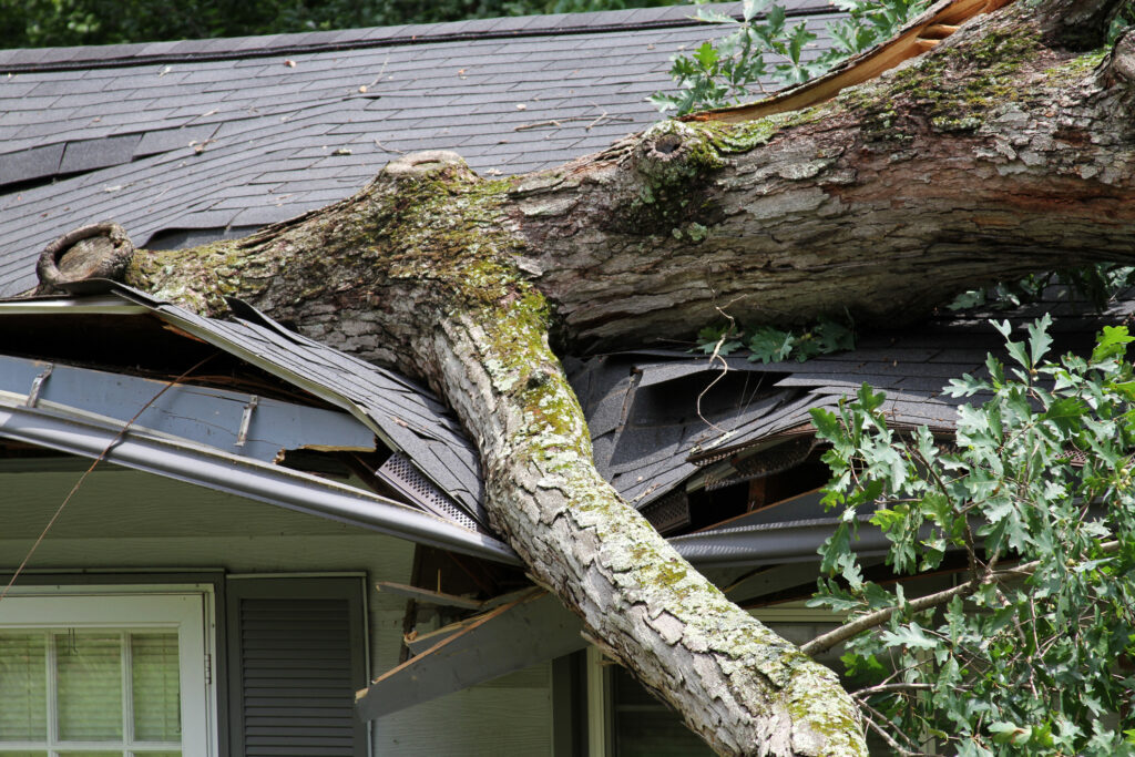 Storm damage cleanup in Aurora, CO