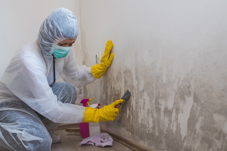 A person cleaning mold off of walls in Denver, CO