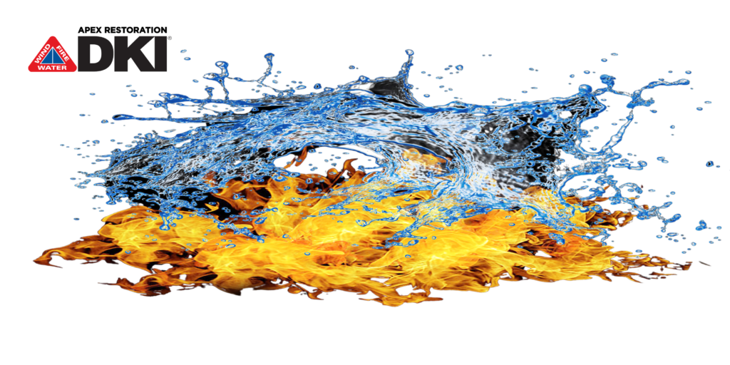 The black mold fire and water restoration jackson, TN.