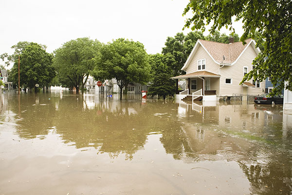 flood scene