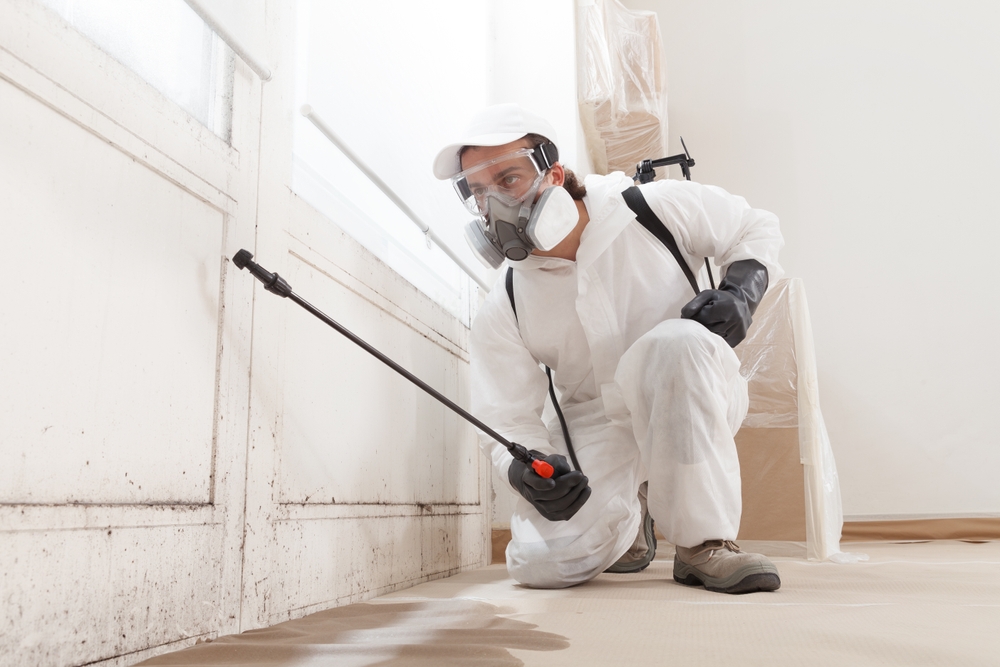 mold remediation